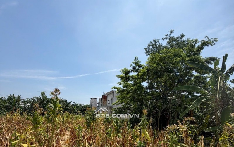 ĐÂT ĐẠI NGHĨA- ĐẠI LỘC BÁN NHANH- RẺ THANH TOÁN NGÂN HÀNG